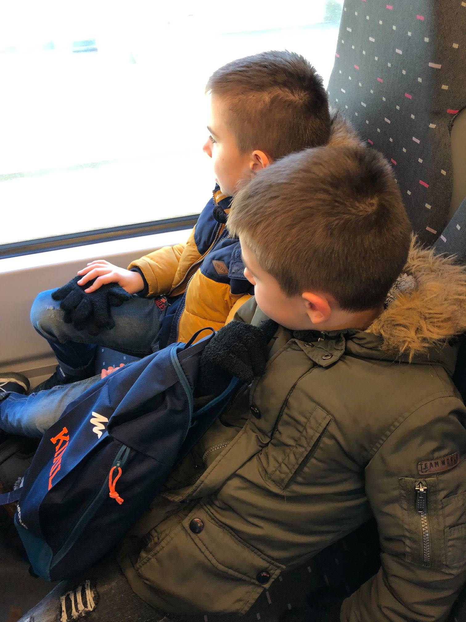 Sint-Martinus den XIIde - Zoo Antwerpen Kapoenen